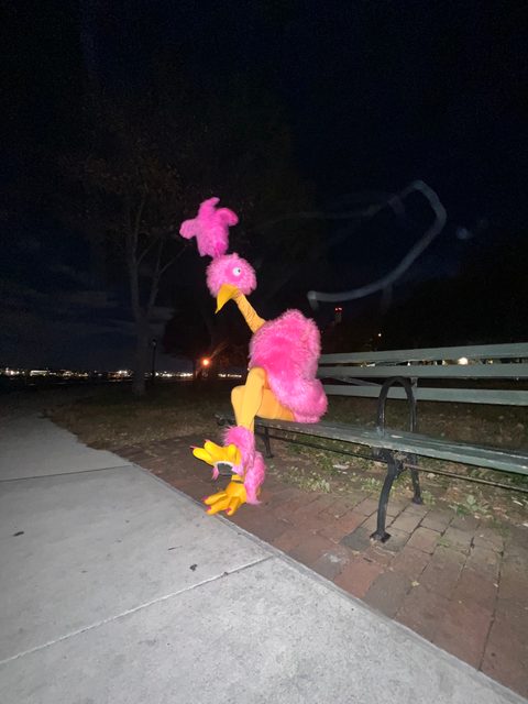 Emu